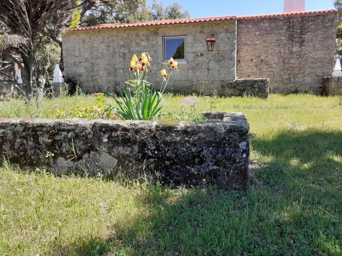 Casa Da Vinha Villa Castelo Novo Exterior photo